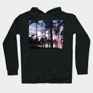 Forest sunset landscape beautiful pink hues in the shadow of sky high pine trees Hoodie